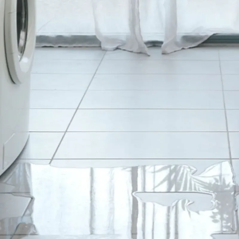 Appliance Leak Cleanup in Issaquah, WA