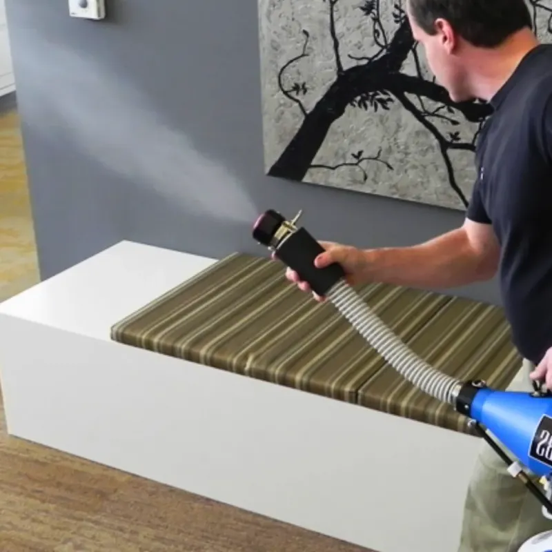 Professional Odor Removal in Issaquah, WA